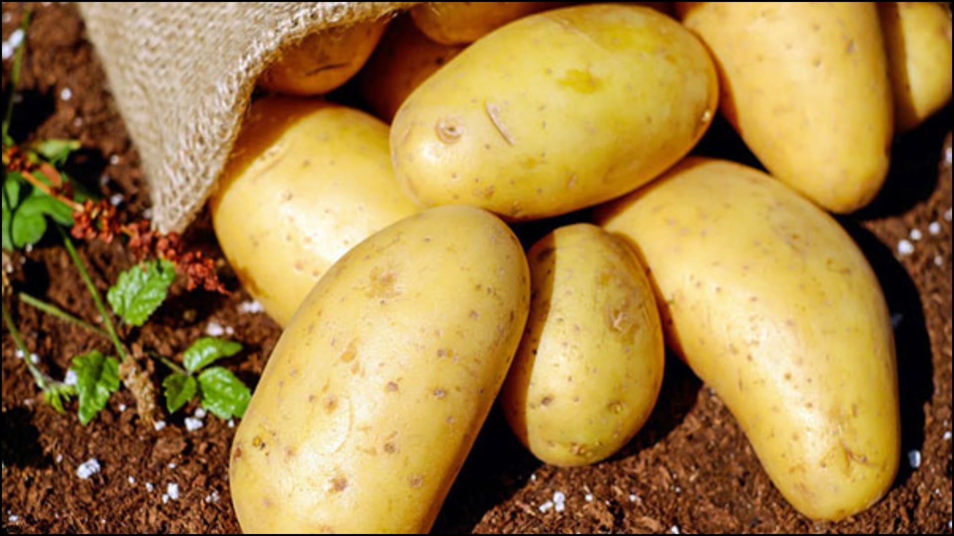 How To Remove Tanning at home with vegetables in hindi