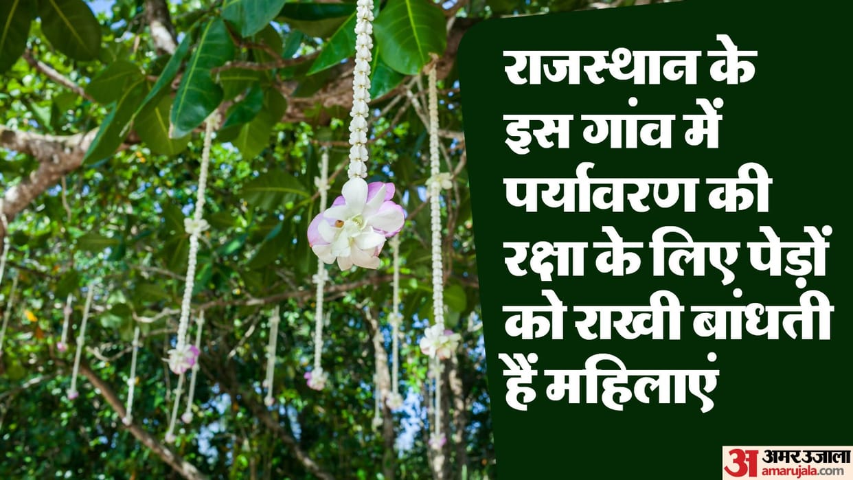 Rajasthan Village in Rajsamand where Rakhis are tied to Trees Girl Child ritual Plantation news and updates