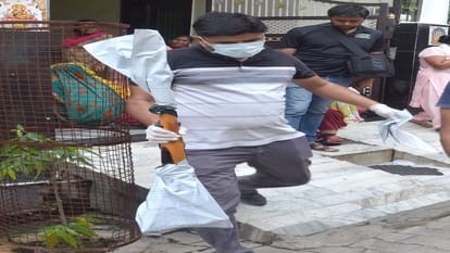 इसी रायफल से की थी आत्महत्या