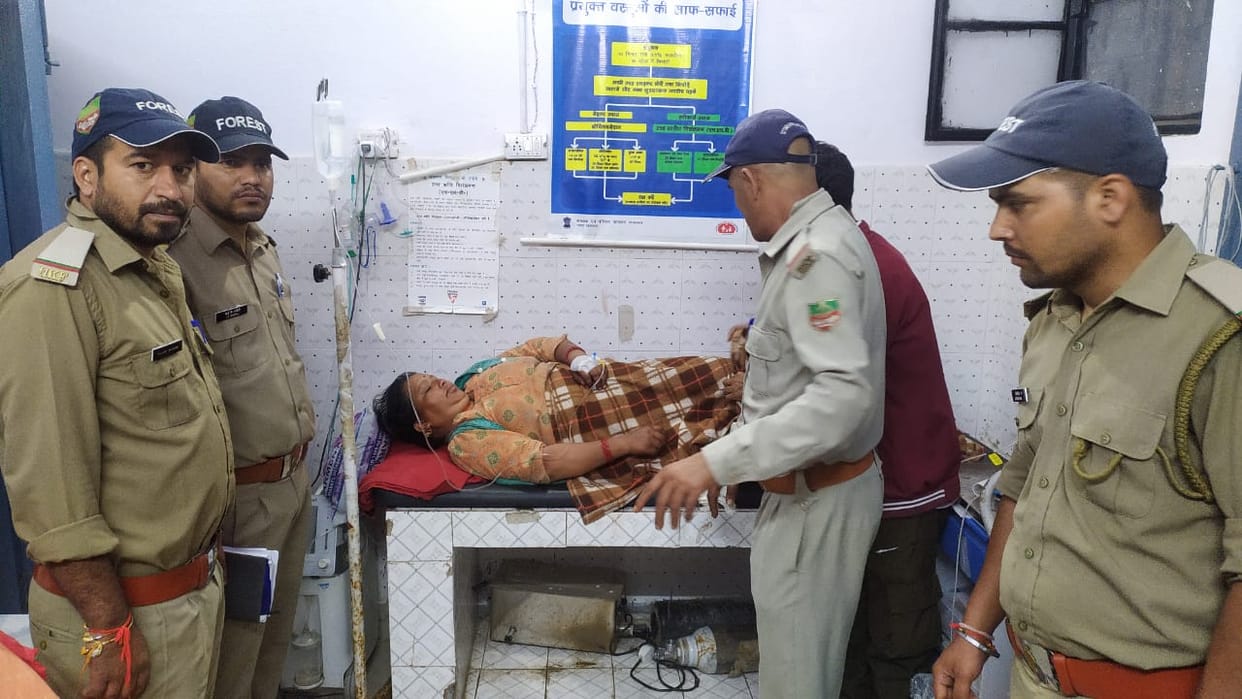 Uttarkashi News bear Attack on woman while working in fields  in bhatwadi