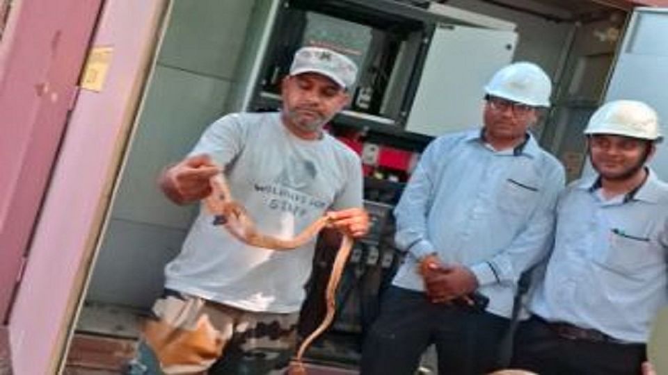 snake was hiding inside transformer near western gate of Taj Mahal,tourists were shocked to see