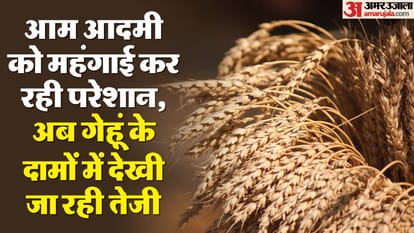 बढ़ रहे गेहूं के दाम।