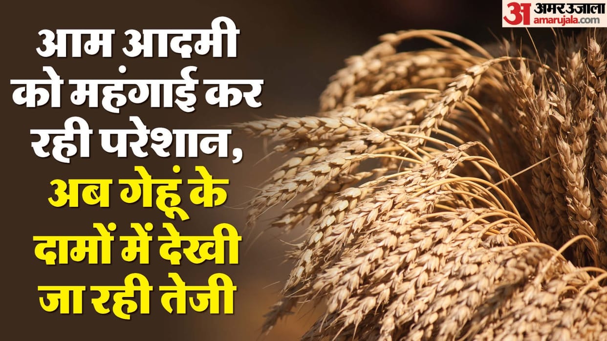 Wheat Prices Rise Expect Chapati Breads Biscuit Cookies to be expensive know reason news and updates