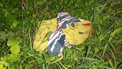 teenager was bitten by snake died due to black magic newborn found dead on the roadside