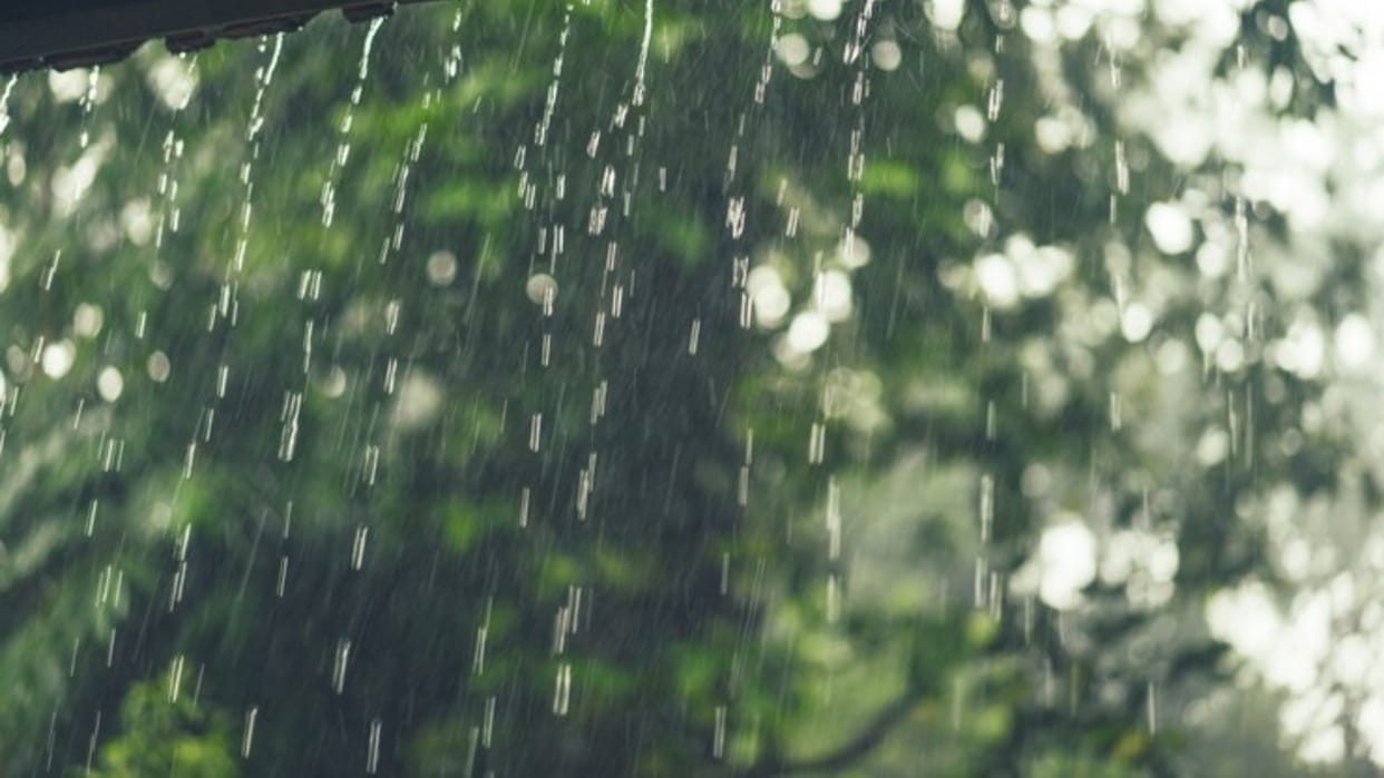 Low pressure to bring heavy rain most parts of Bengal: Met