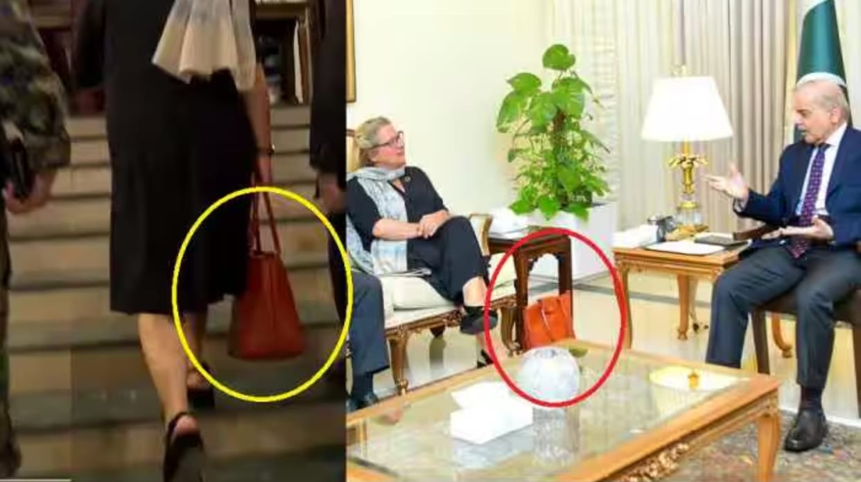 Pakistan's Diplomatic Blunder: German Minister Svenja Schulze Halted Over Handbag news in hindi