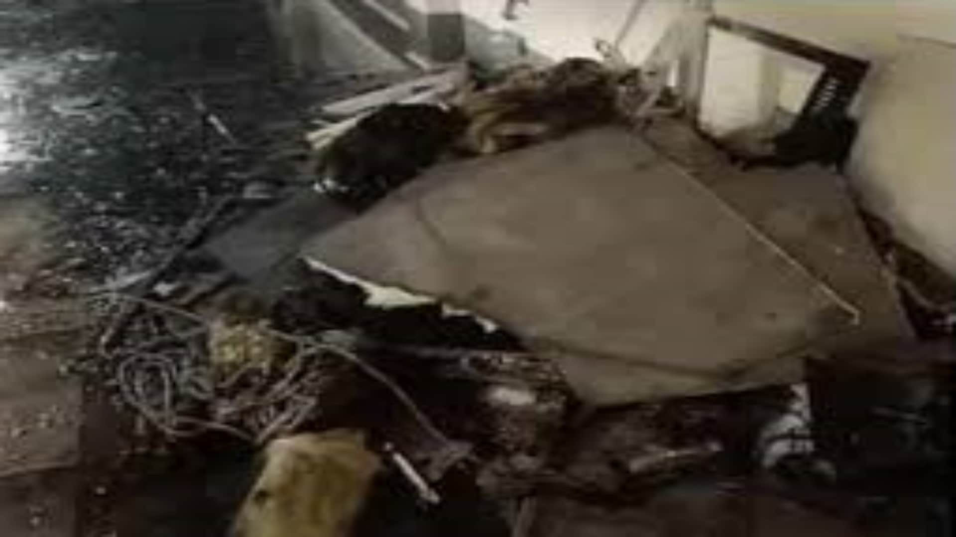 लोटस डेयरी के प्लांट में आग लगी