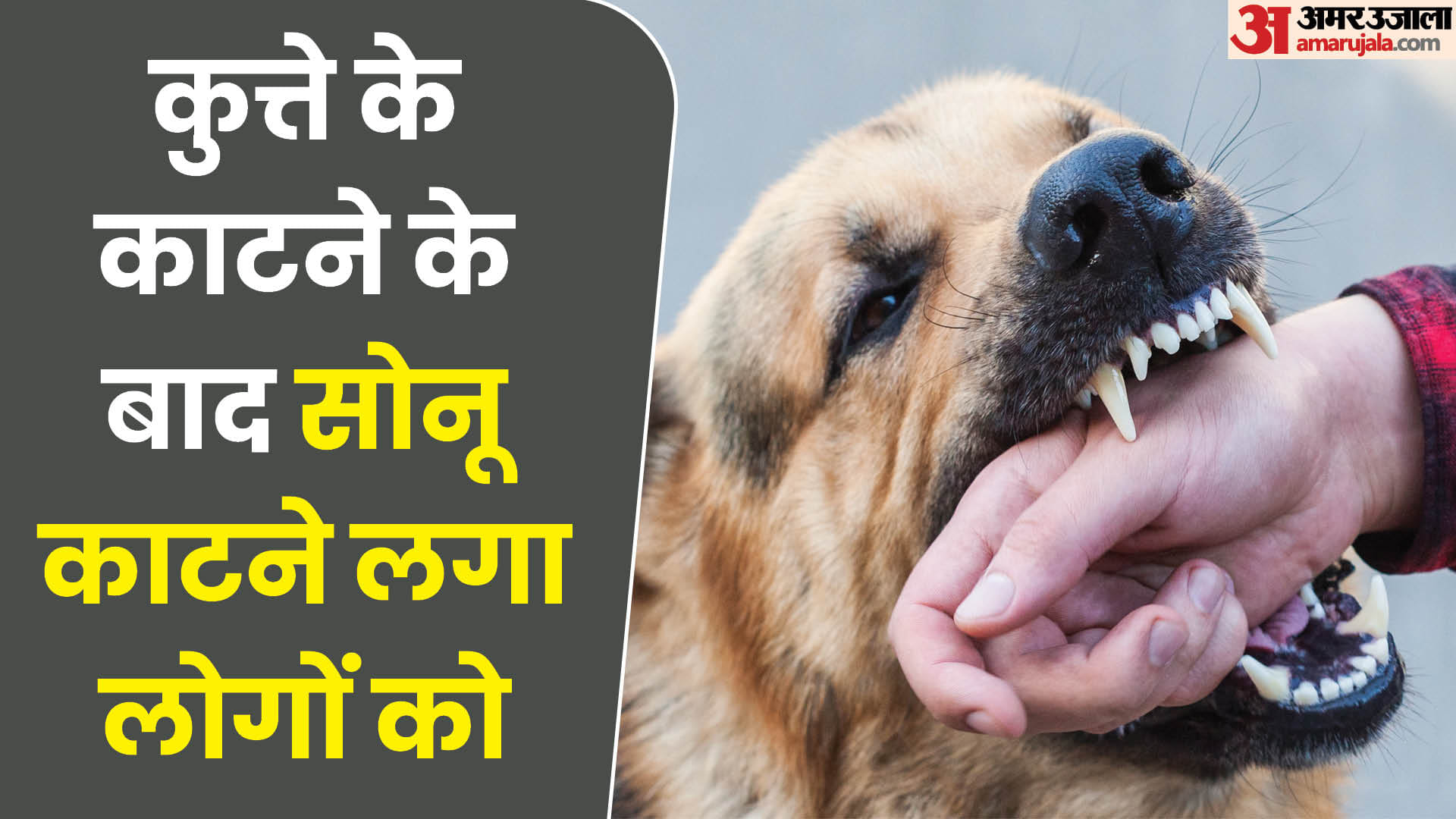 सागर