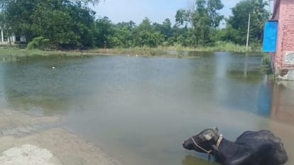 Bihar Flood: Due to rising water level of Ganga in Samastipur, water entered six schools, crops submerged