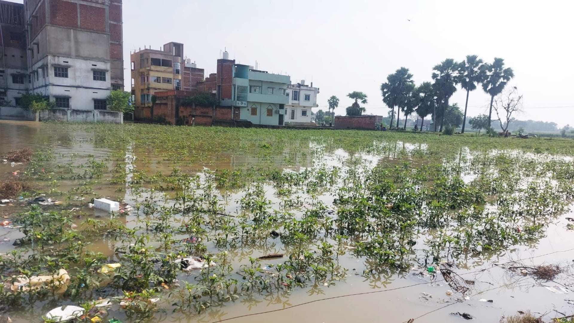 Bihar: Many areas in Bihar Sharif submerged due to floods, water entered a dozen localities; Panchane river
