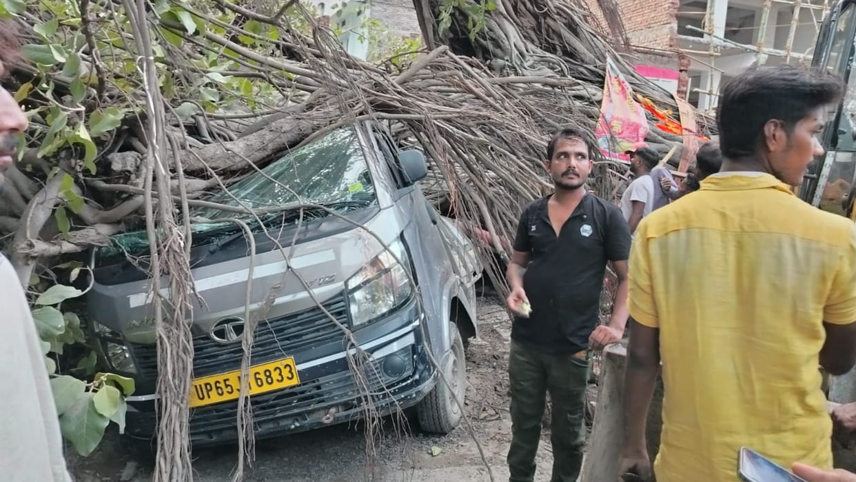 Banyan tree fell on Road in varanasi four wheeler damaged Accident during road widening