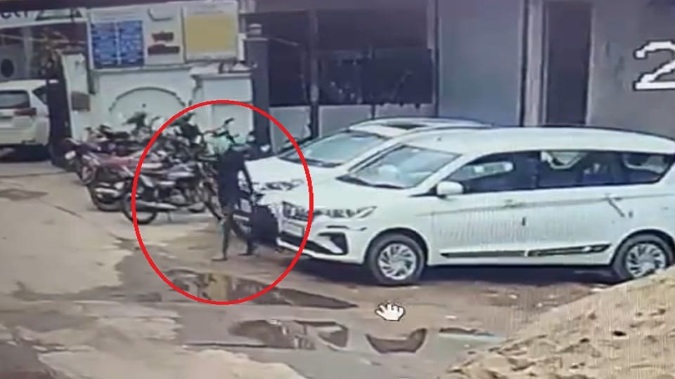 पैसों से भरा लेकर जाता चोर
