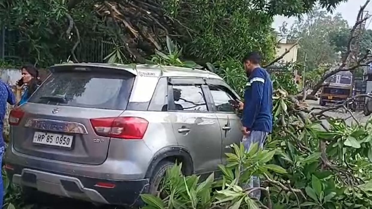 A tree fell on a moving vehicle in  Sirmaur district Himachal Pradesh