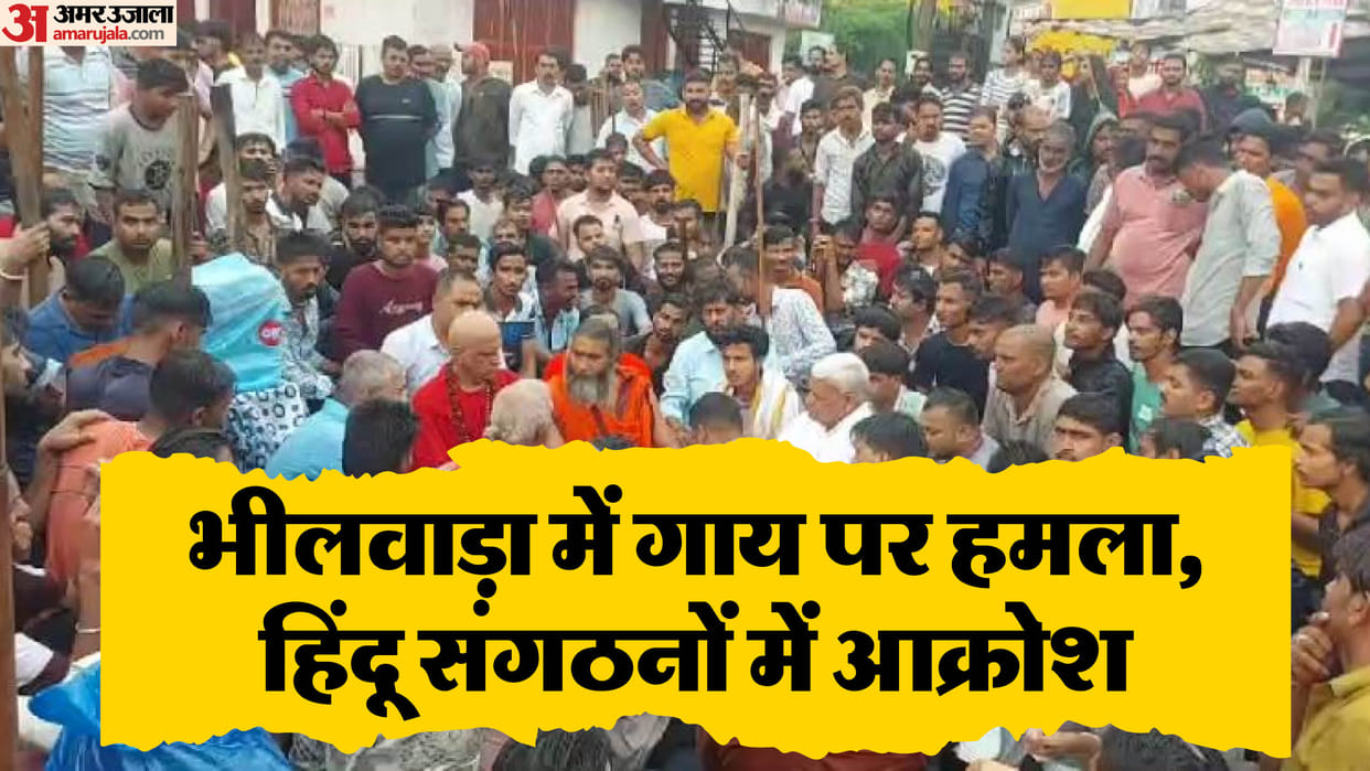 Bhilwara: The atmosphere deteriorated after the attack on a cow in Bhilwara