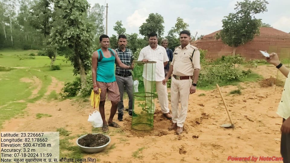 DFO unique initiative launched Mahua Bachao Abhiyan in Manendragarh