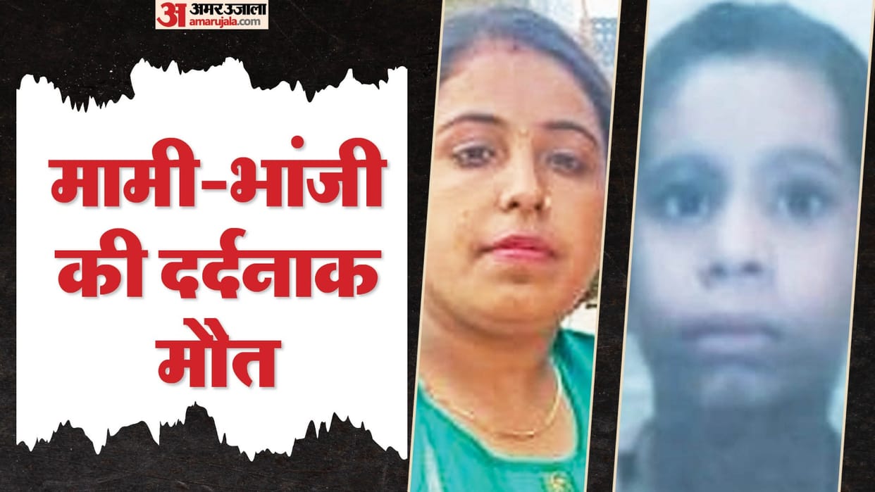 Aunt and niece died after being hit by a train