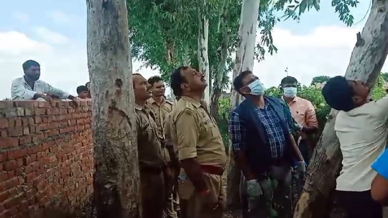 dead body of the watchman found hanging from a tree in Bareilly