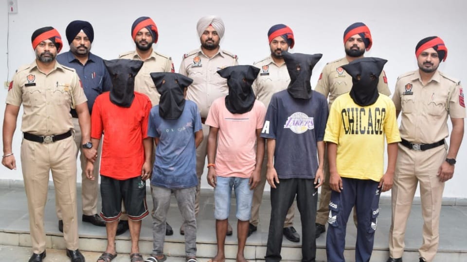 Jalandhar police arrested five accused of cyber crime