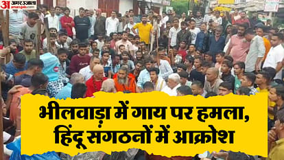 Bhilwara Cow Attack: गाय की पूंछ काटकर मंदिर में फेंकने के मामले भीलवाड़ा में तनाव, पुलिस ने आठ को किया डिटेन Bhilwara Cow Attack: Police detained eight people in the case of cutting the tail of a cow