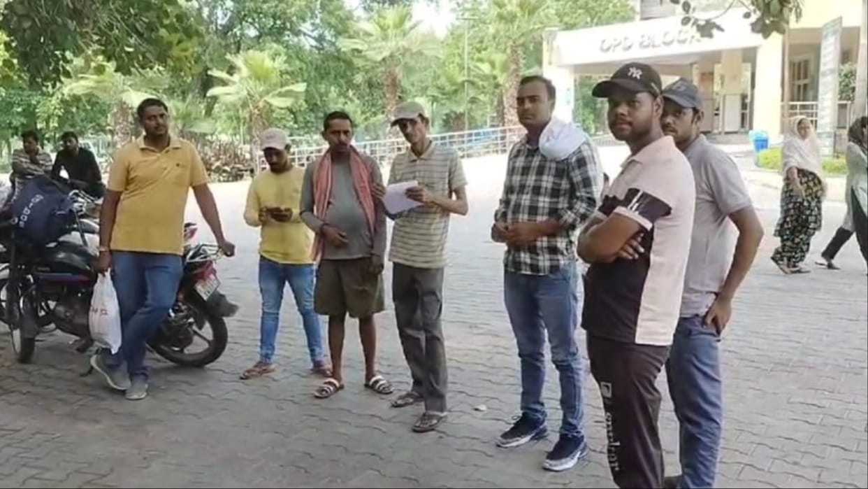 Panipat: Bull hits auto, one worker killed, four injured
