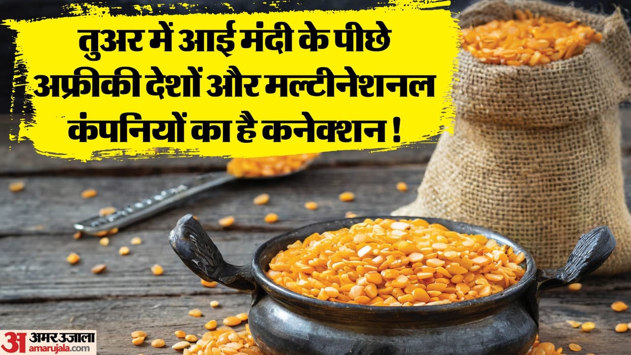 Indian Pulses trader face loss of thousand Crores know the reason news and updates