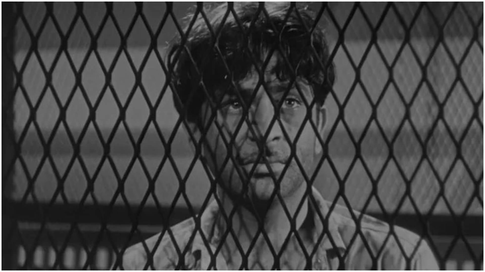 Raj kapoor classic movie awara premiere in 4k at Toronto International Film Festival  2024