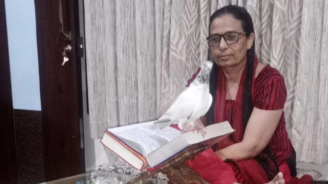 Shiv devotee pigeon was in discussion in Ujjain, Shiv Mahapuran was playing in house, Suddenly he arrived