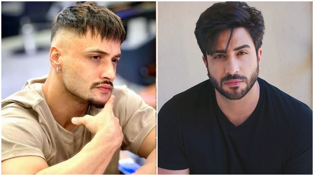Aly Goni shared his thoughts on Asim Riaz controversy of Khatron Ke Khiladi Season 14