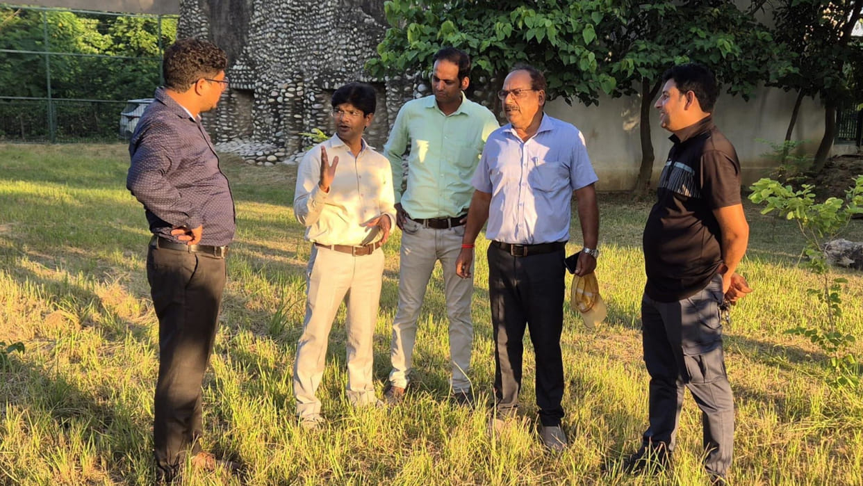 In Gorakhpur Zoo, Pathway will be built in enclosure for Babbar lion spectators will be able to see it closely
