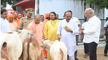 CM Yogi Ajityanath showered love on children and did cow service in Gorakhnath temple.