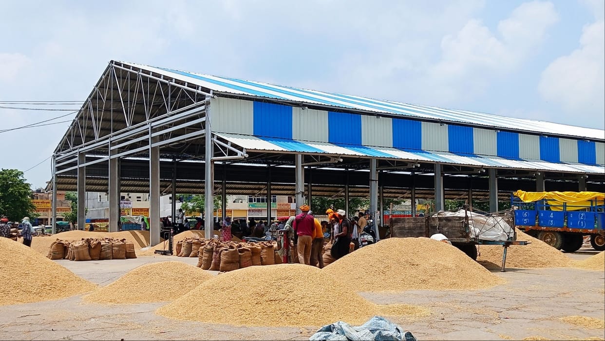 Agriculture: Export of Basmati varieties hit, farmers suffer losses, exporters also disappointed