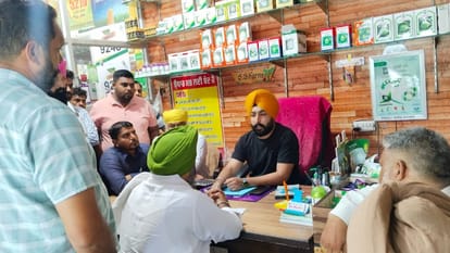 Fake seeds sold to farmers in Kapurthala 1400 acres paddy crop damaged of more than 10 villages