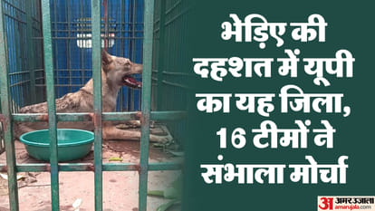 Bahraich: Another wolf caught, imprisoned by the forest department on the banks of the river, two man-eating w