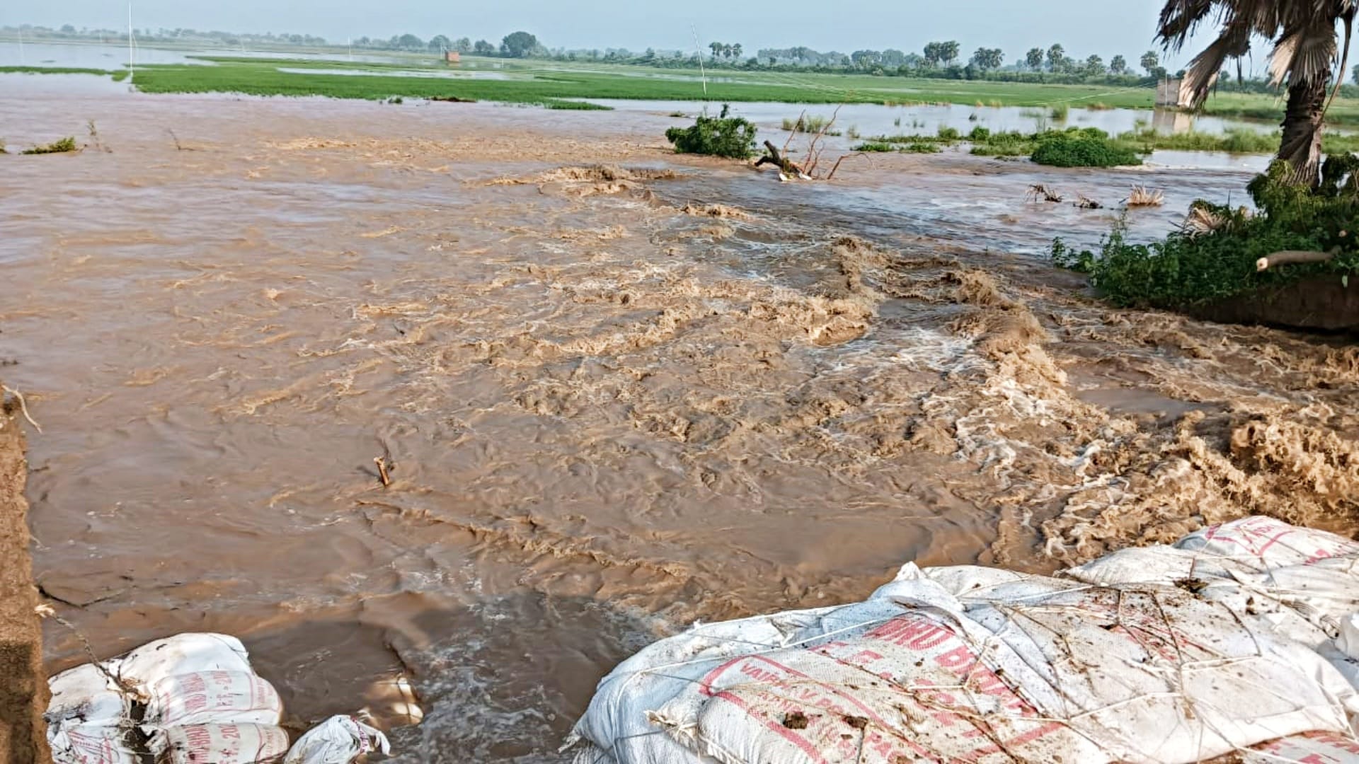 Flood: Due to rising water level of Jiraiyan river in Nalanda, embankment broke, water spread over 1000 bighas