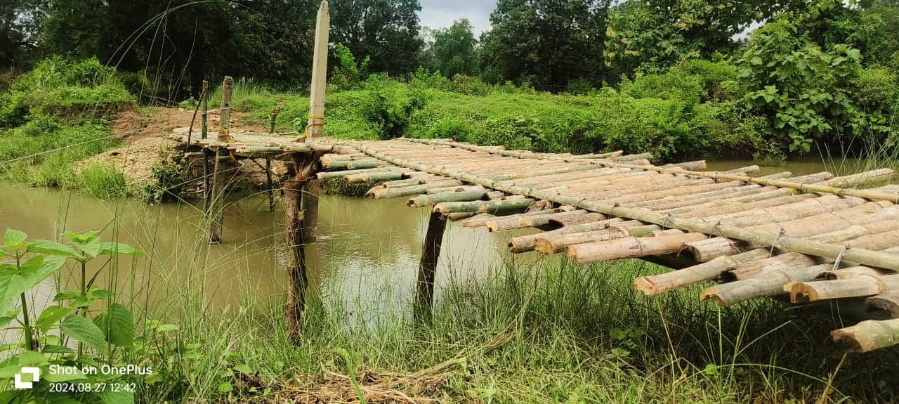 Maihar News: Villagers Made Bamboo Bridge After Government Officers Failed To fulfill Their Demands