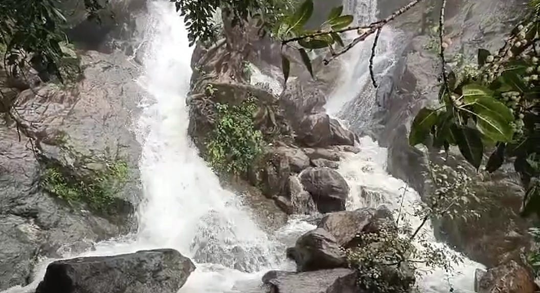 Mount Abu received the highest rainfall of 61 mm in the last 24 hours
