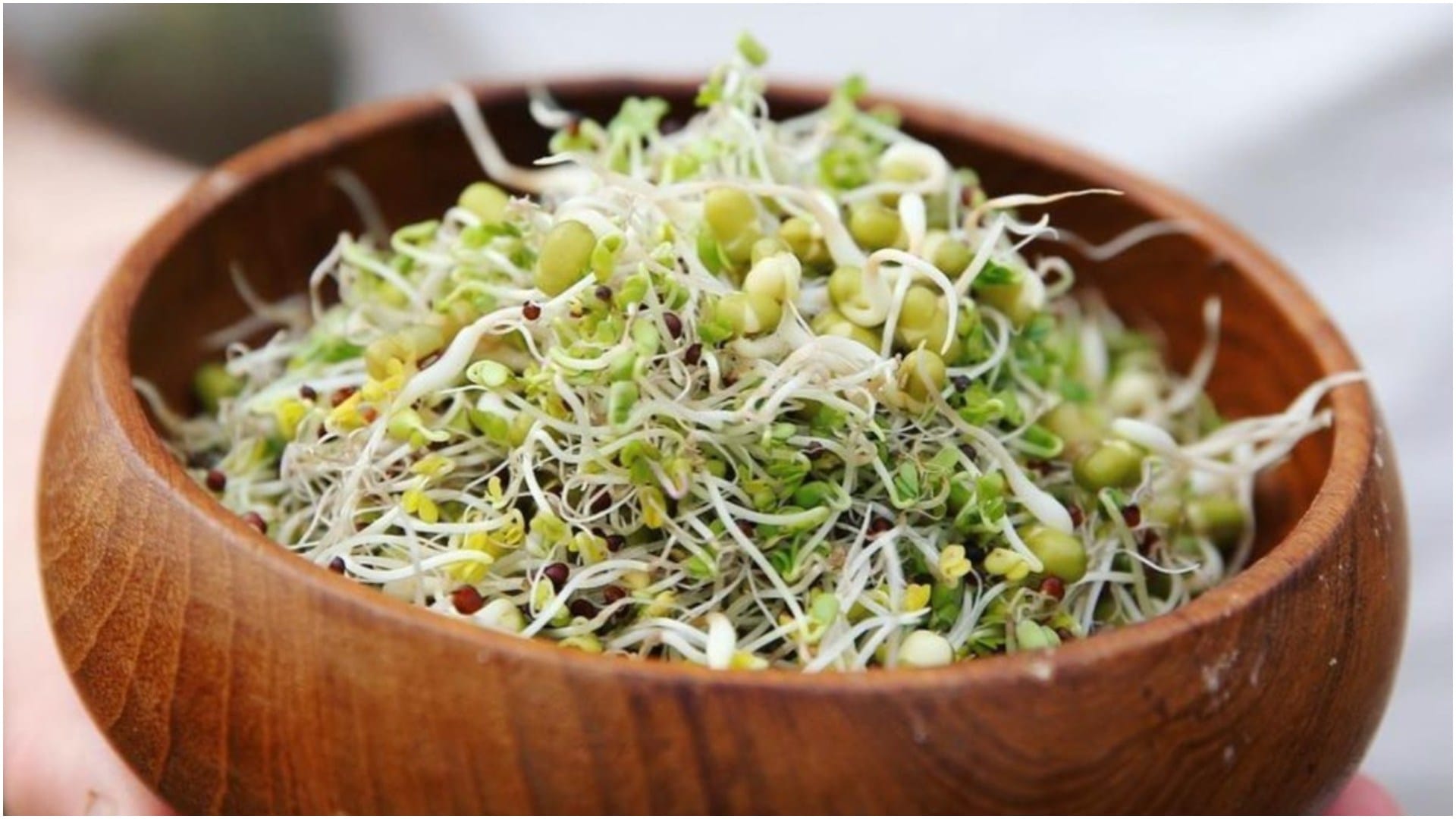Low Calorie Snacks for Weight Loss Easy Recipes Even Bachelors Can Make