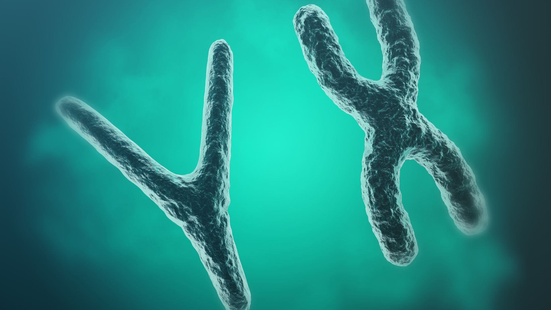 y chromosomes rapidly disappearing in men study says are men to go extinct
