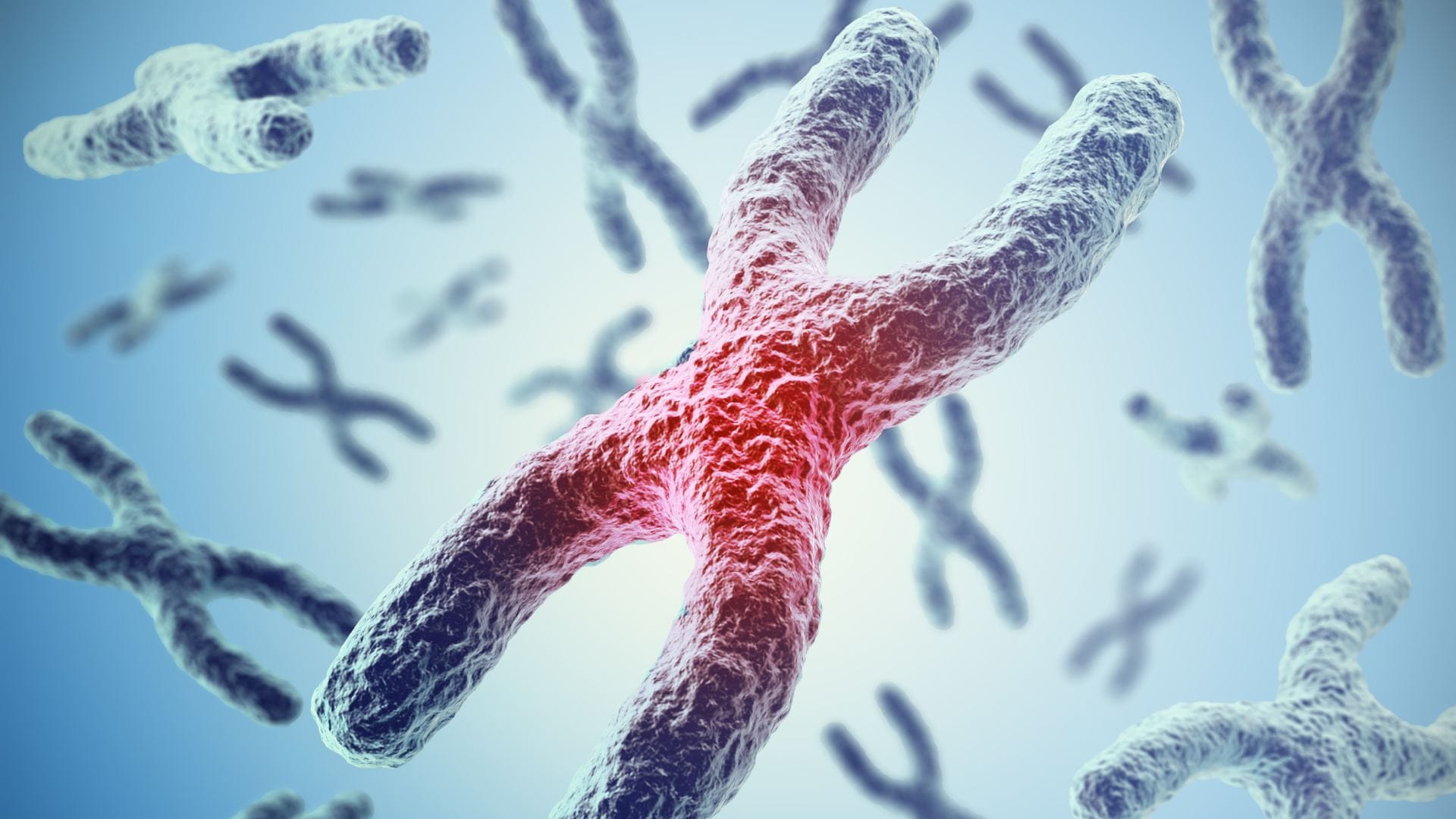 y chromosomes rapidly disappearing in men study says are men to go extinct