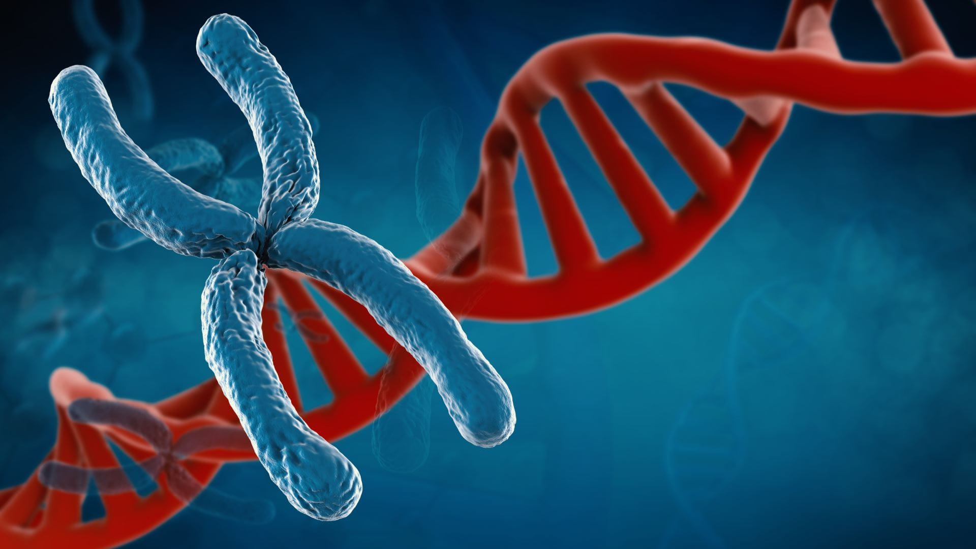 y chromosomes rapidly disappearing in men study says are men to go extinct