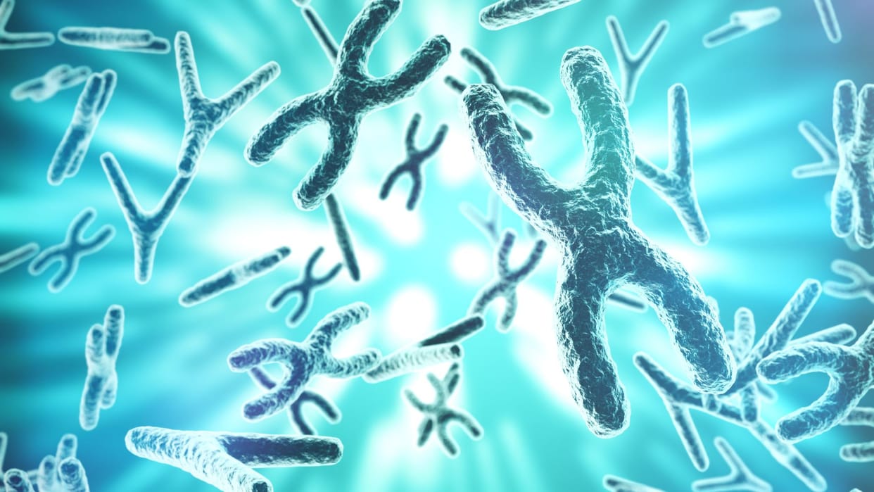 y chromosomes rapidly disappearing in men study says are men to go extinct
