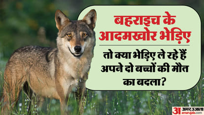 Terror of wolves in UP: Two children were buried under a tractor trolley, after that a round of attacks starte