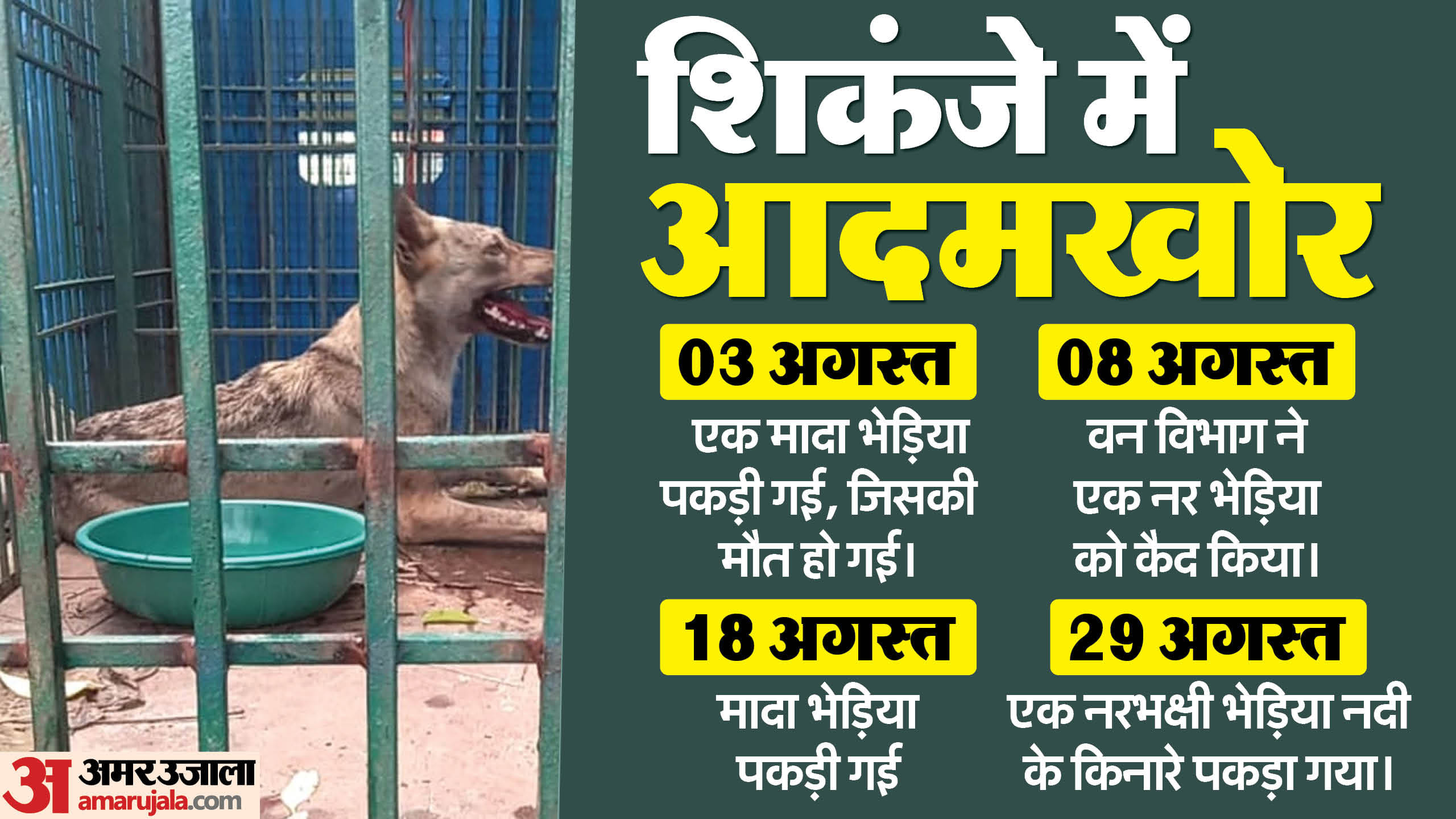 बहराइच में आदमखोर भेड़ियों का आतंक