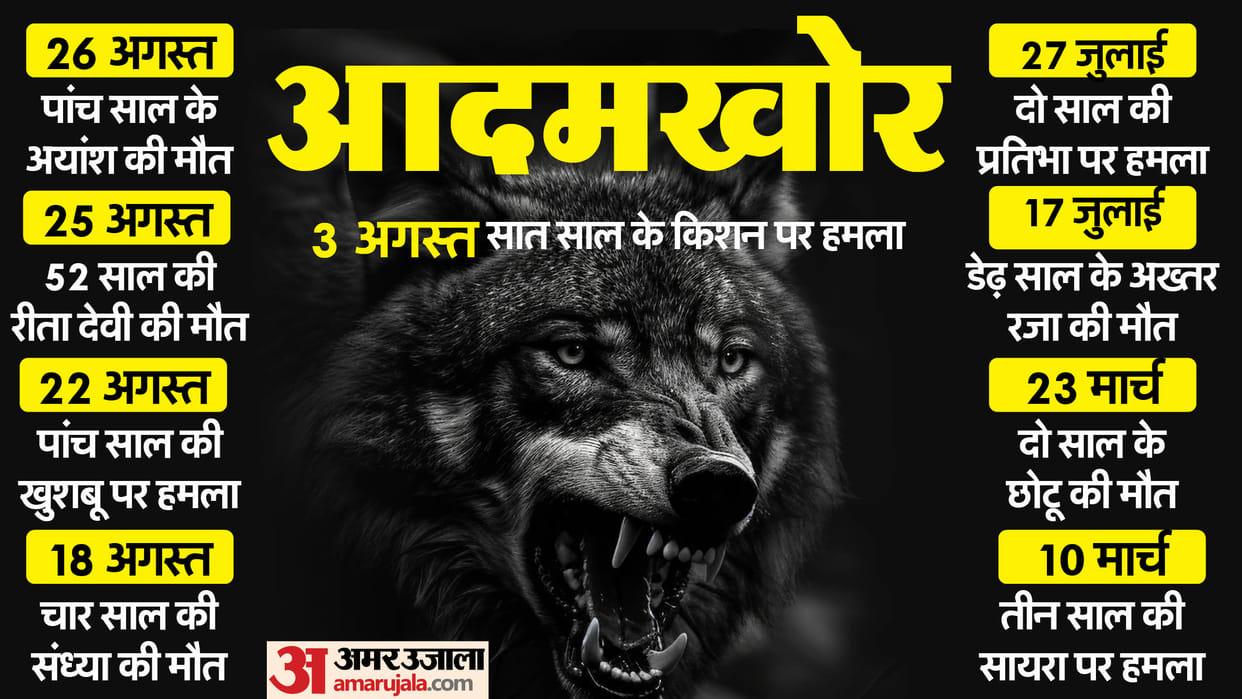UP Bahraich Wolf Terror timeline and death toll news in hindi