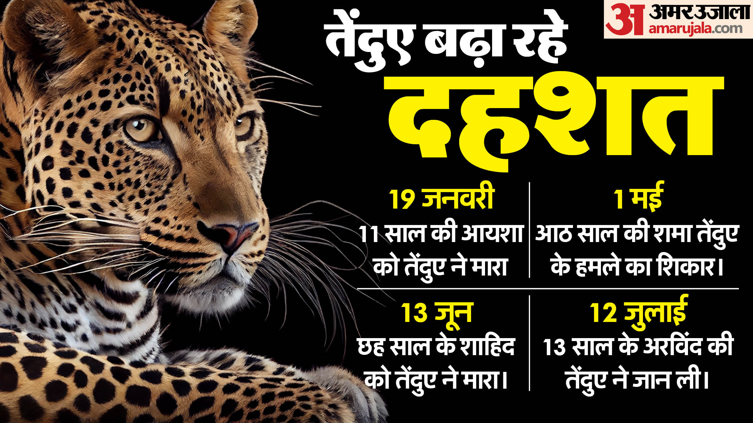 बहराइच में तेंदुए ने जनवरी से जुलाई के बीच चार लोगोंं की जान ली।