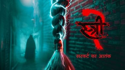 Stree 2 Box Office Collection Day 17 Know Shraddha Kapoor Rajkummar Rao Pankaj Tripathi Film Total Earning - Entertainment News: Amar Ujala - Stree 2 Box Office Collection Day 17:स्त्री 2 ने