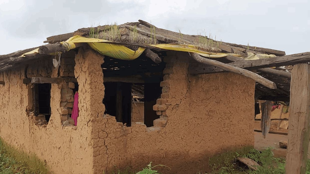 elephants destroyed 8 houses in one night and caused damage to 30 farmers In Raigarh