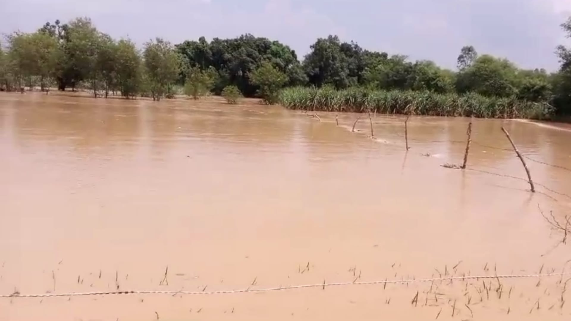 Sitapur: Flood because of Sharda lake water.
