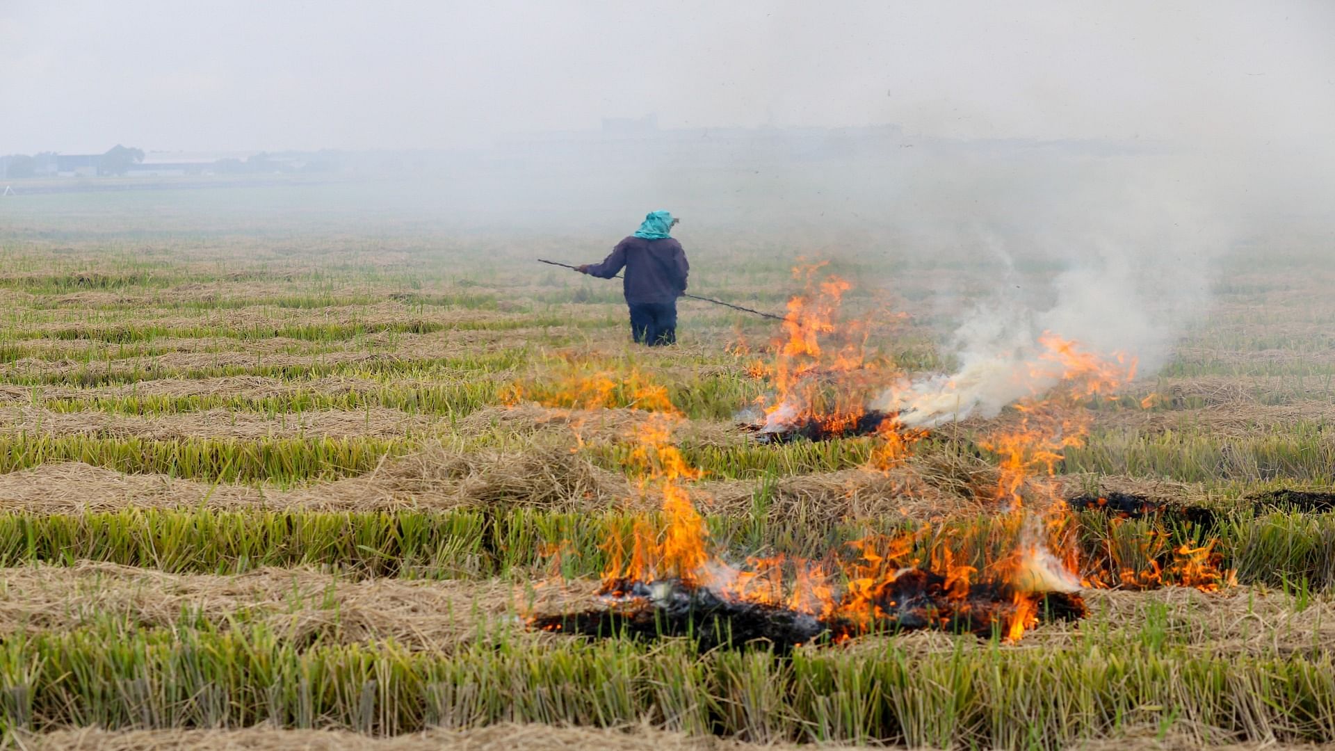 Fine of Rs 1.13 crore collected from farmers for burning stubble in state