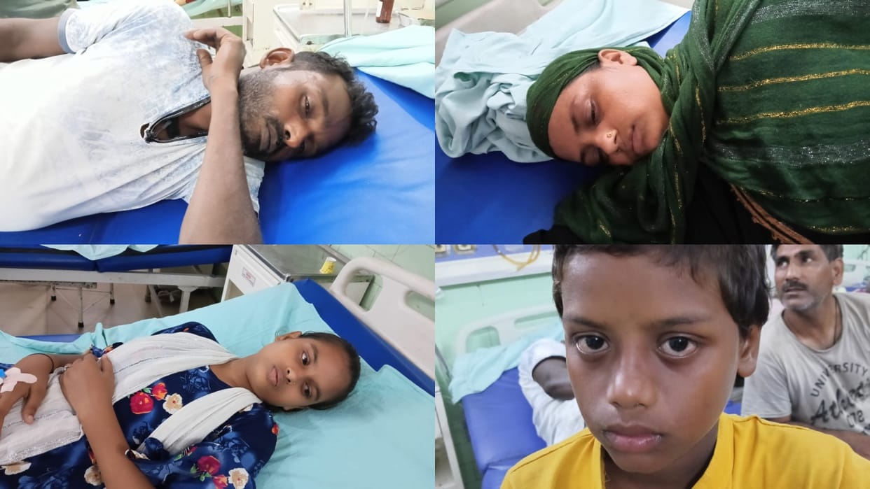 condition of the whole family deteriorated after a lizard fell into fish curry